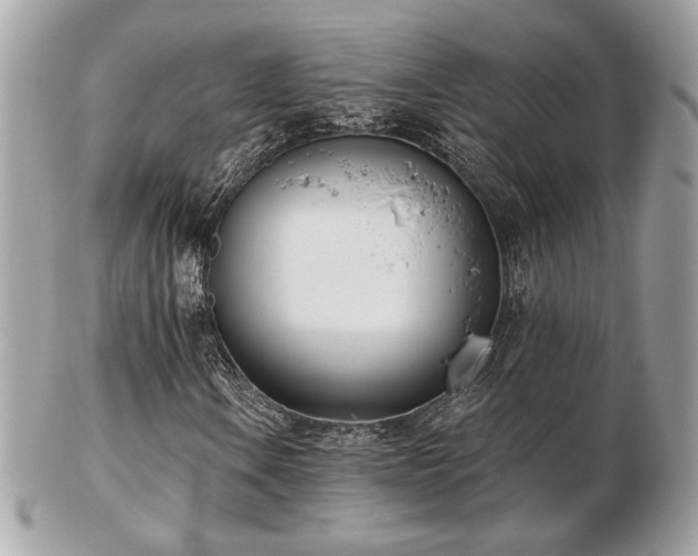 X0000103261106200808291211