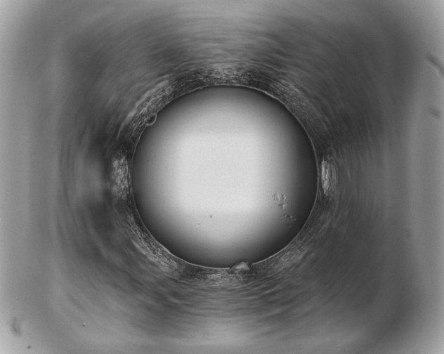 X0000103261107200808291211