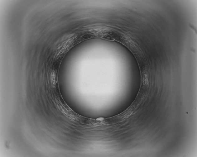 X0000103261108200808291211