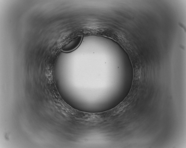 X0000103261109200808291211