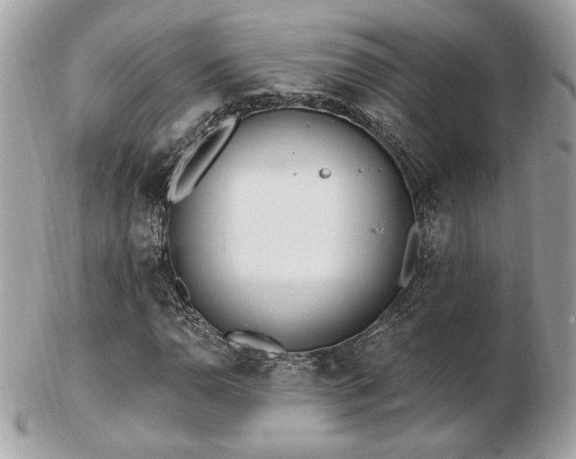 X0000103261110200808291211