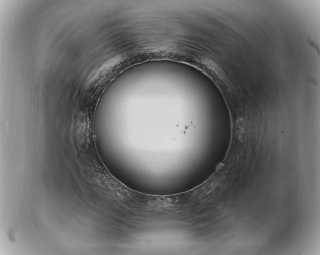 X0000103261111200808291211