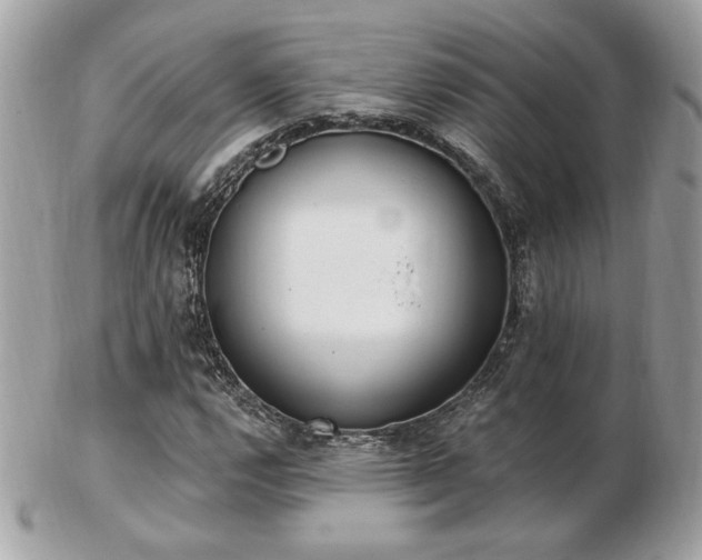 X0000103261112200808291212