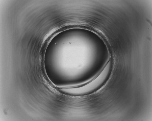 X0000103261114200808291212