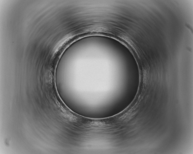 X0000103261115200808291212