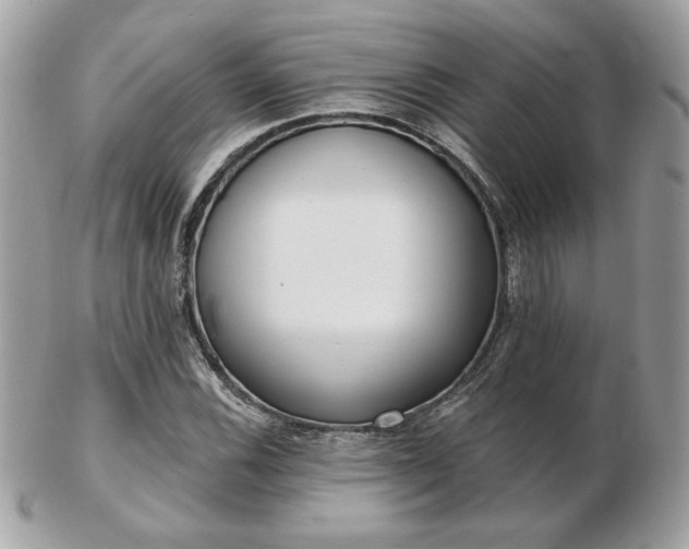 X0000103261116200808291212