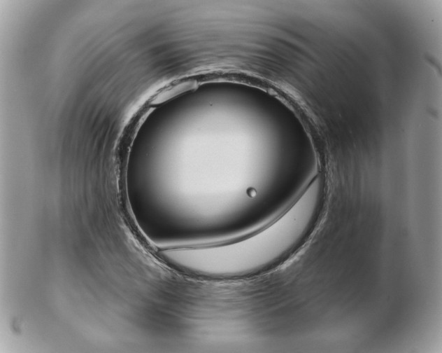 X0000103261118200808291212