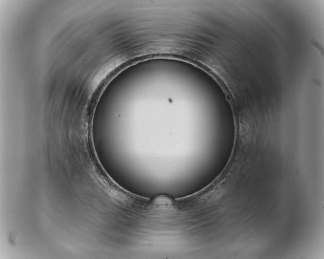 X0000103261119200808291212