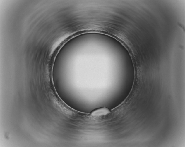 X0000103261120200808291212