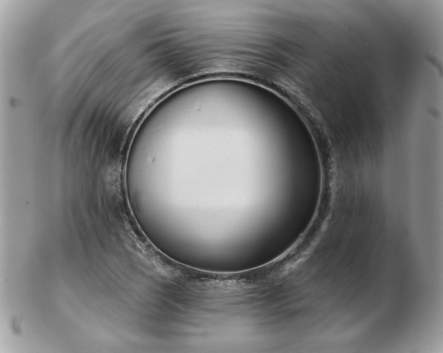 X0000103261121200808291212