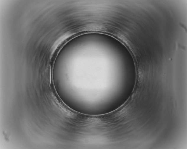 X0000103261123200808291212