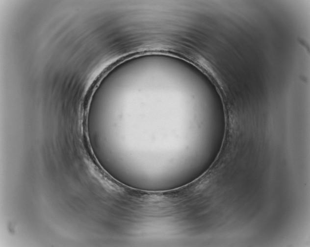 X0000103261124200808291212