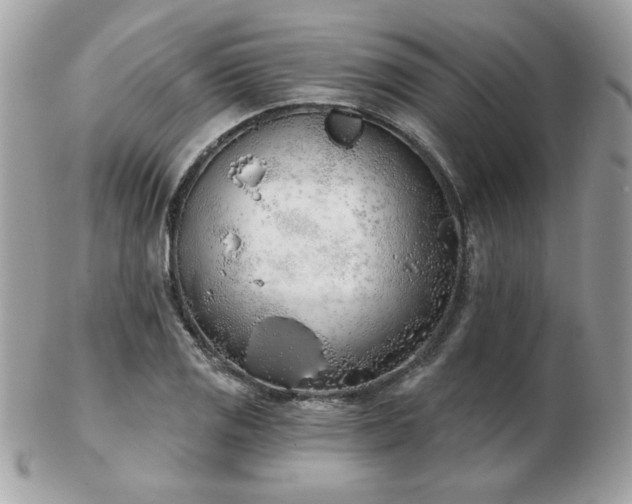 X0000103261125200808291212