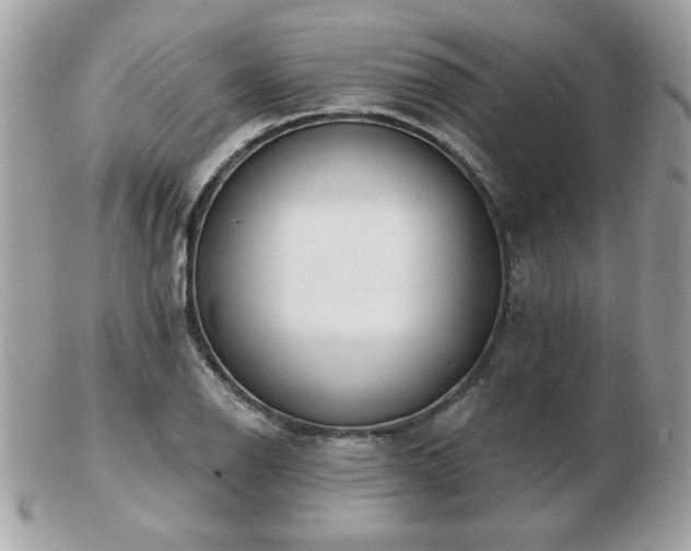 X0000103261126200808291212