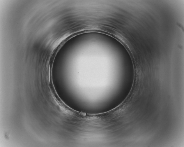 X0000103261127200808291212