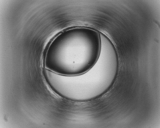 X0000103261128200808291212