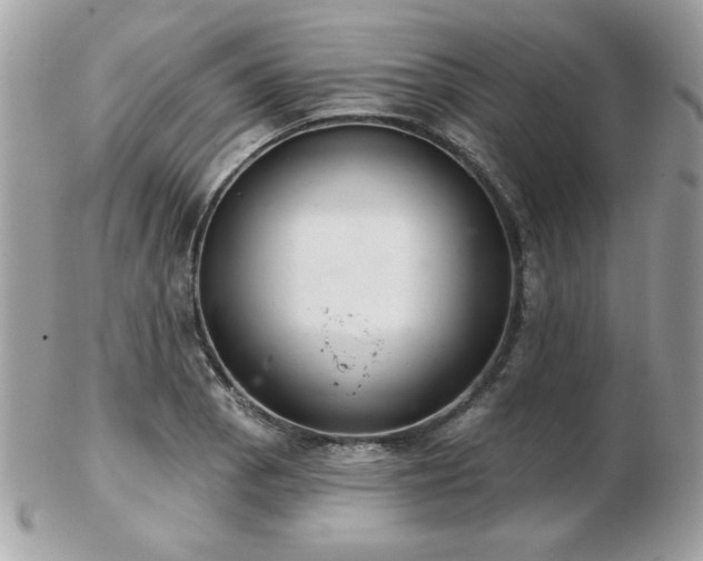 X0000103261129200808291212