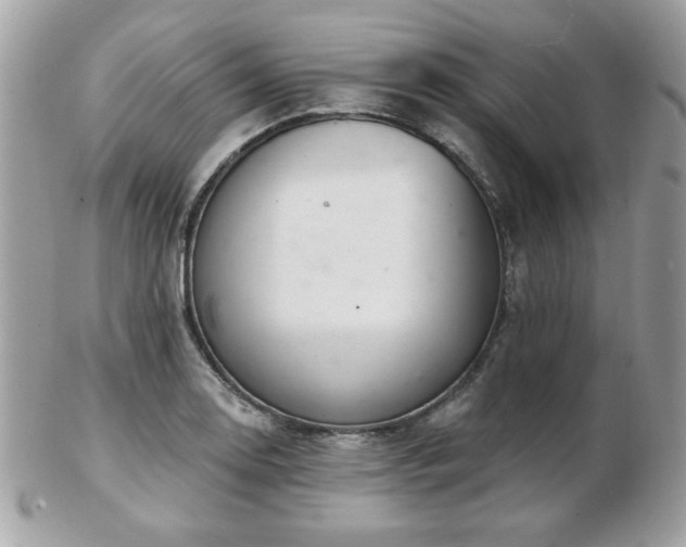 X0000103261130200808291212