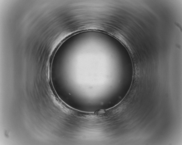 X0000103261132200808291212