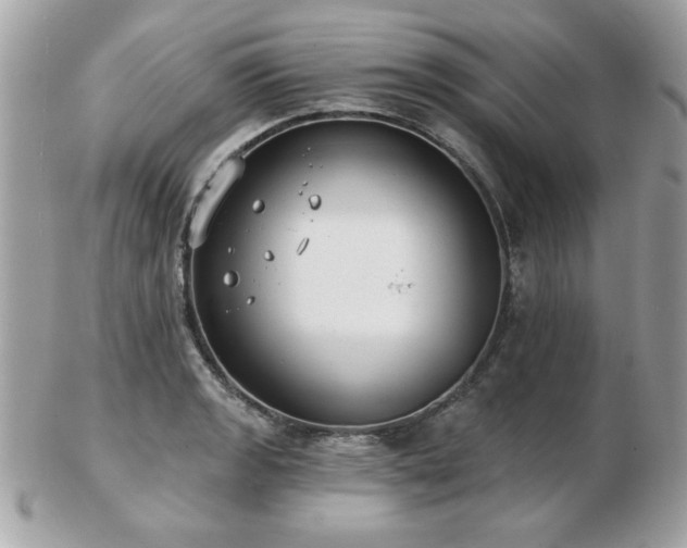 X0000103261133200808291212