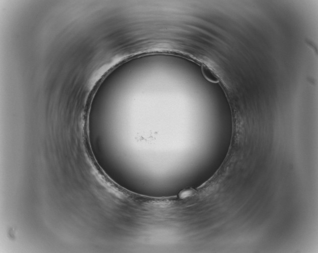 X0000103261134200808291212