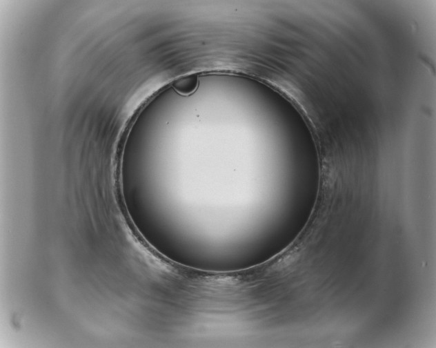 X0000103261135200808291212