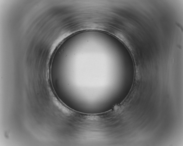 X0000103261136200808291212