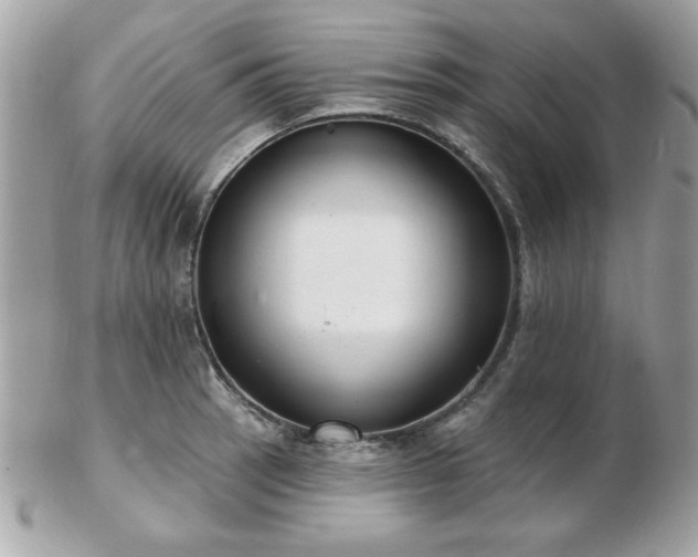 X0000103261137200808291212