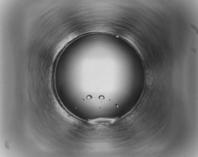 X0000103261139200808291212