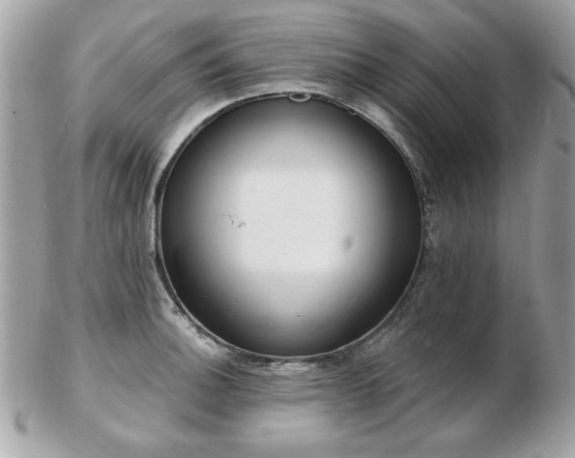 X0000103261140200808291212