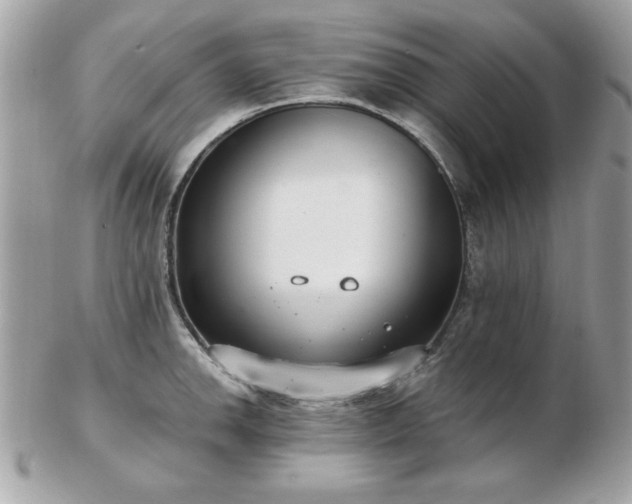 X0000103261142200808291212