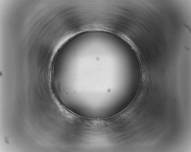 X0000103261144200808291212