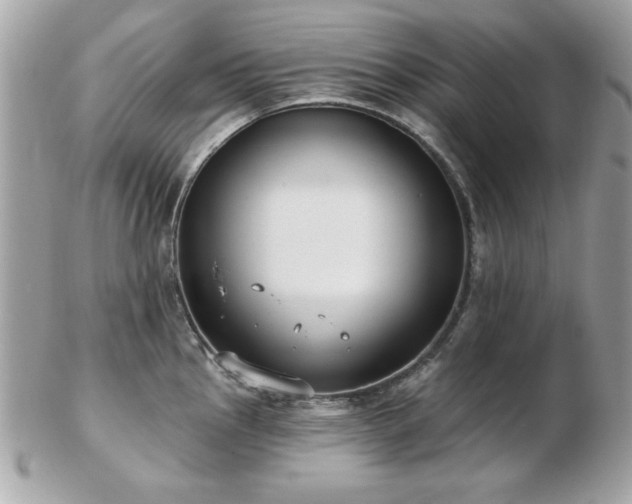 X0000103261145200808291212