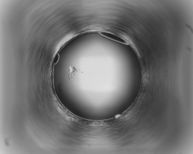 X0000103261146200808291212