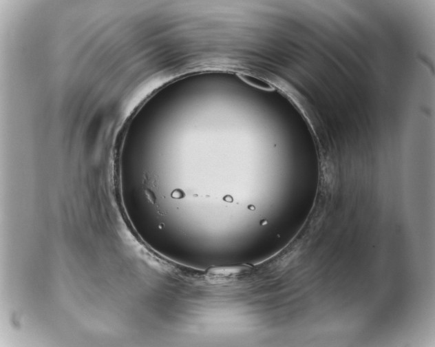 X0000103261147200808291212