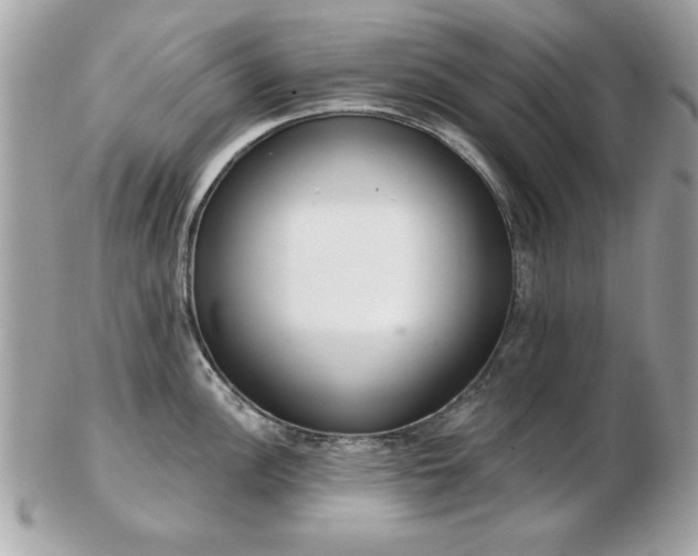 X0000103261148200808291212