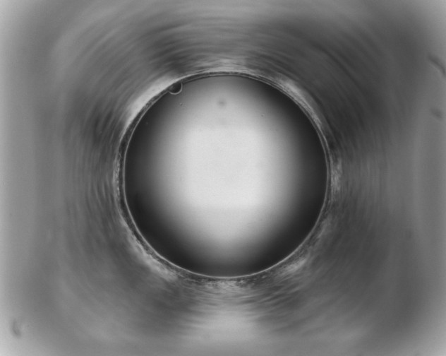 X0000103261149200808291212