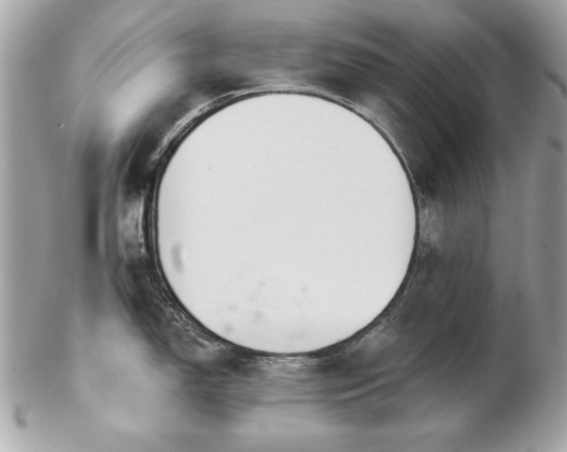 X0000103261150200808291212