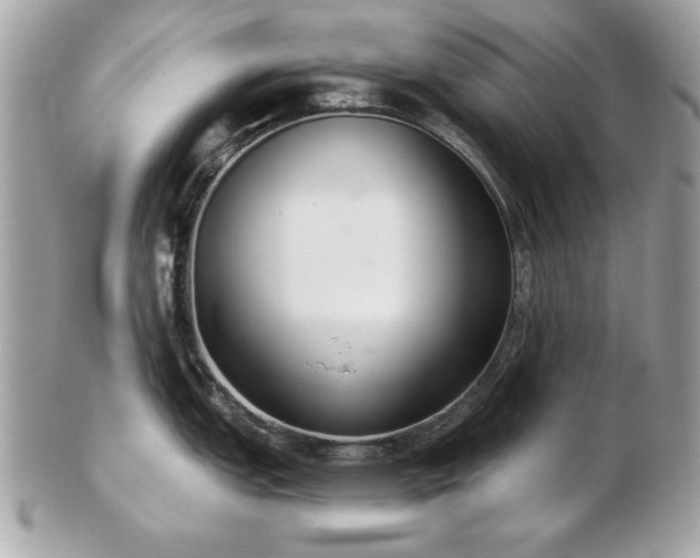 X0000103261151200808291212