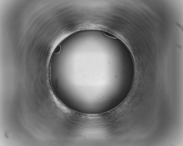 X0000103261152200808291212