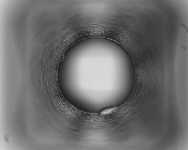 X0000103261153200808291211