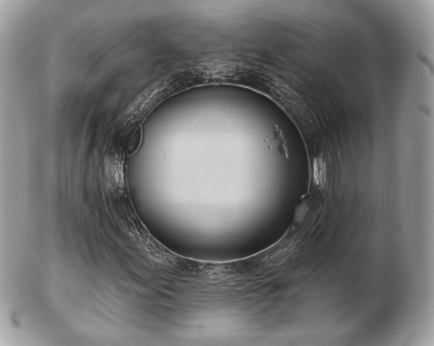 X0000103261155200808291211