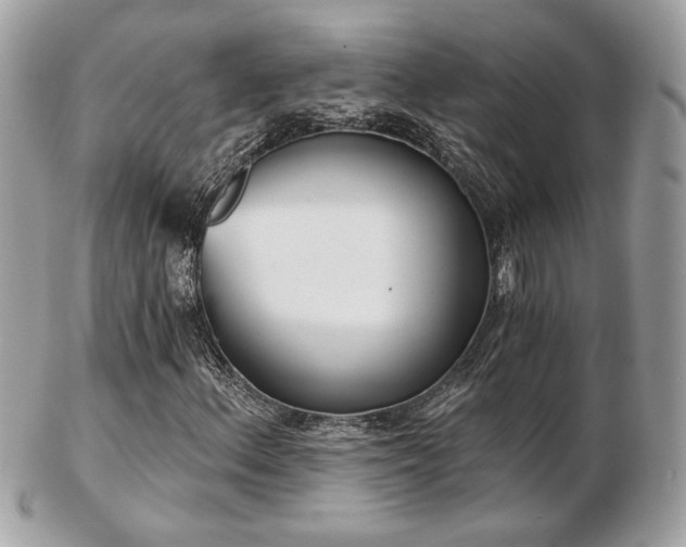 X0000103261156200808291211