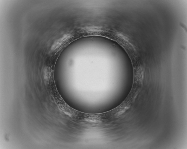 X0000103261157200808291211