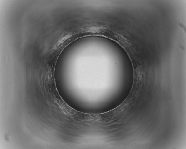 X0000103261158200808291211