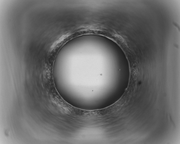 X0000103261159200808291211