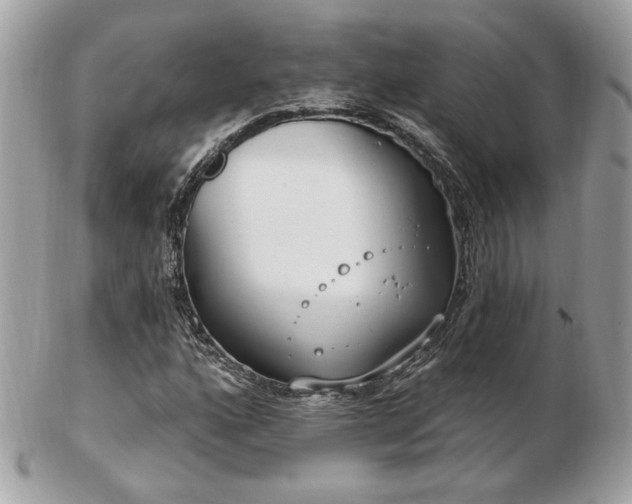 X0000103261160200808291211