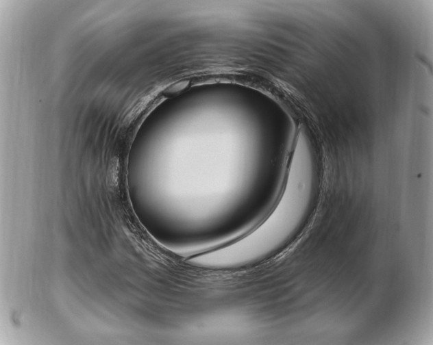 X0000103261161200808291211