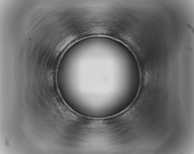 X0000103261162200808291211