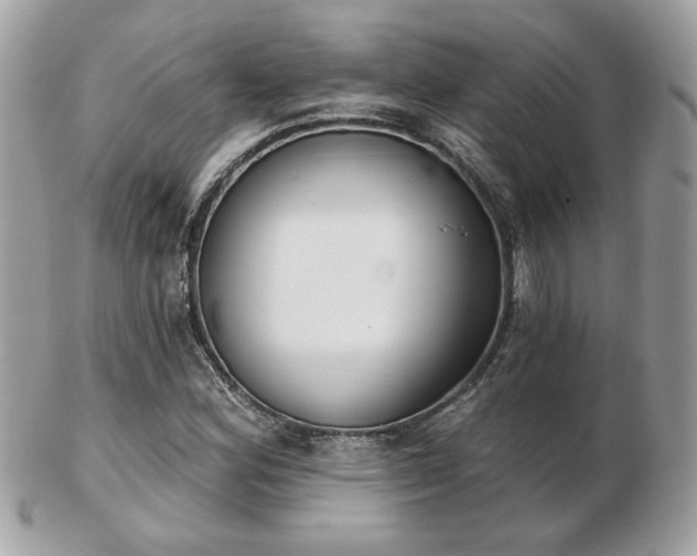 X0000103261164200808291211